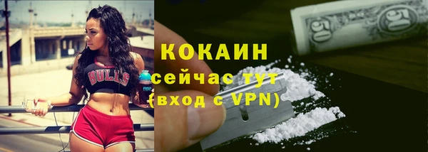 дживик Богданович