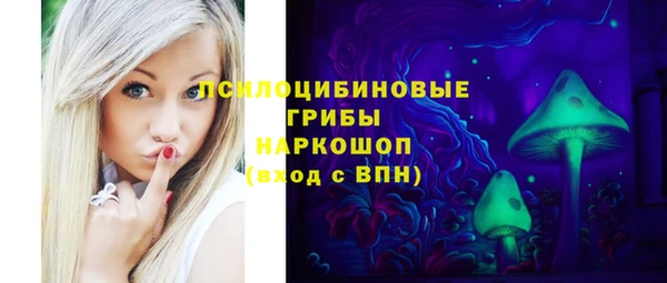 хмурый Богородск