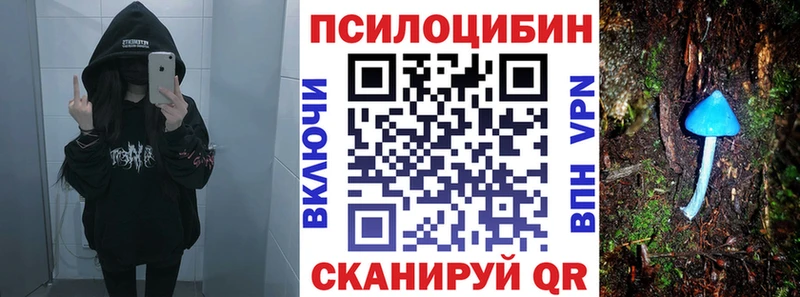 блэк спрут ТОР  Пестово  Галлюциногенные грибы мухоморы  купить  